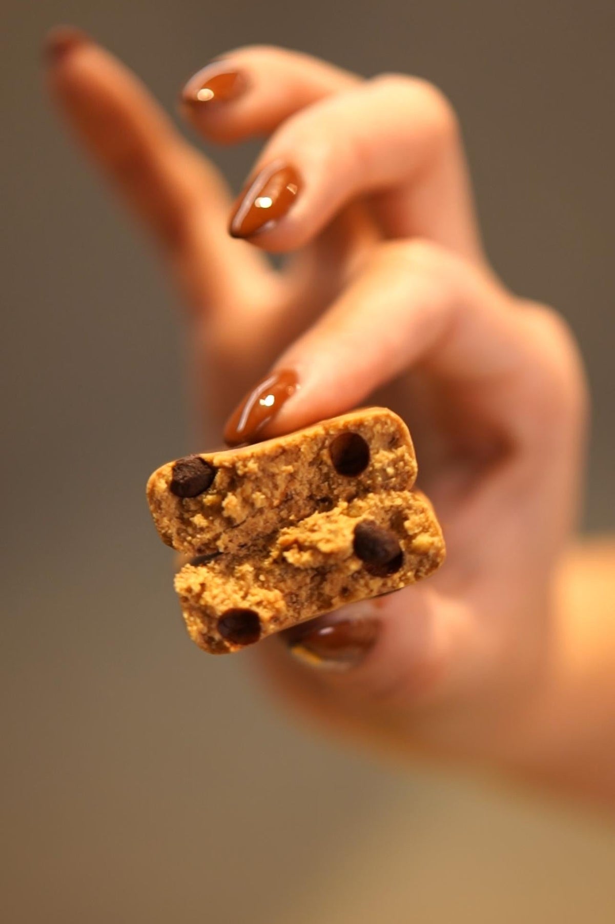 CHOCOLATE PEANUT BUTTER PROTEIN BAR